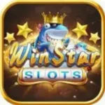 winstar.99999
