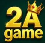 2A Game