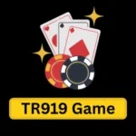 TR919 Game